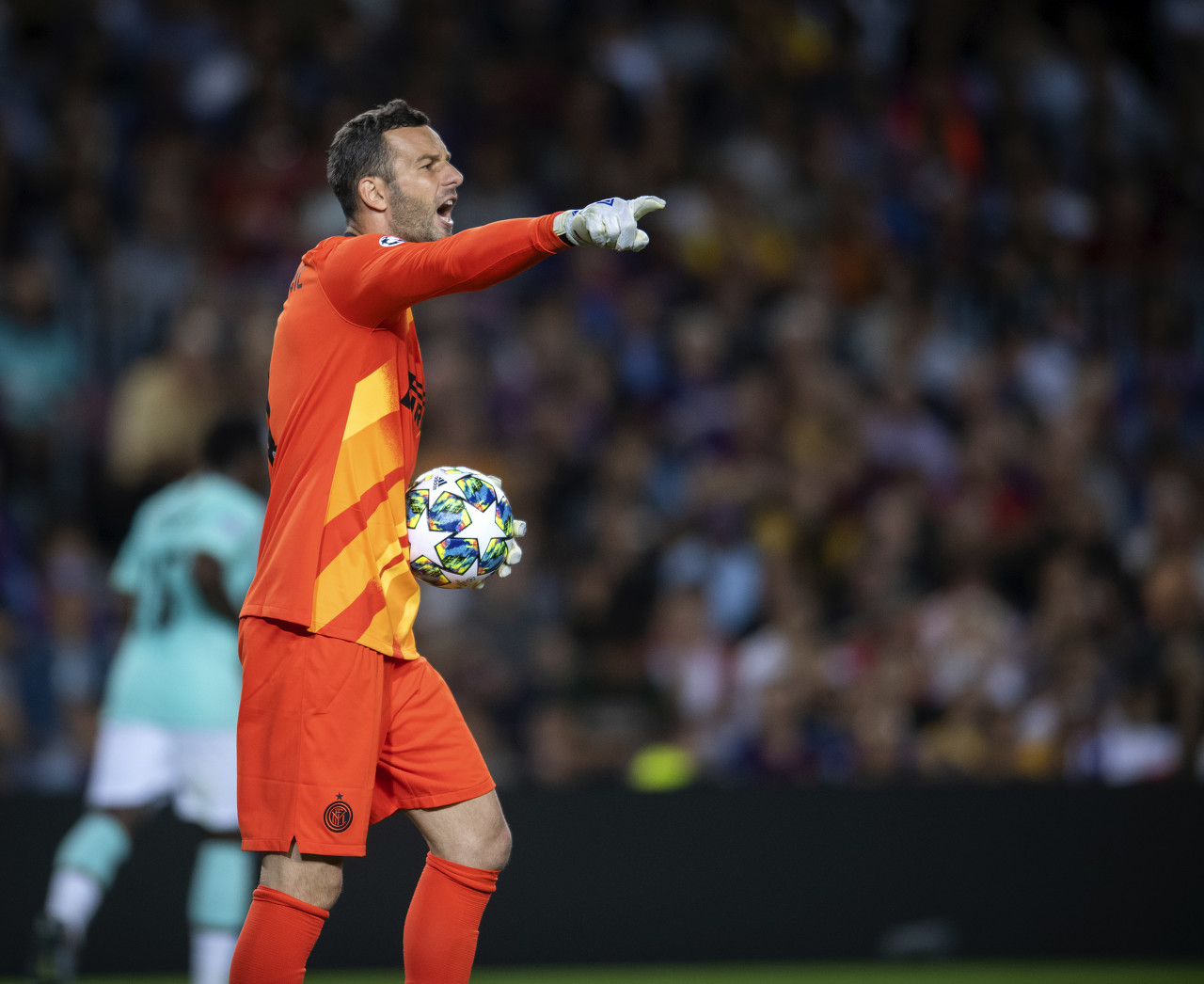 红星村物业保洁